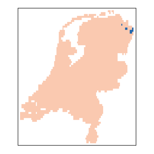 Valerianella carinata Loisel.