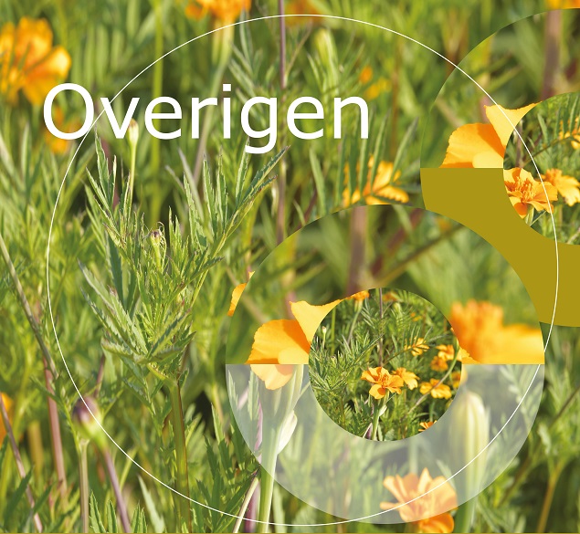 Overigen
