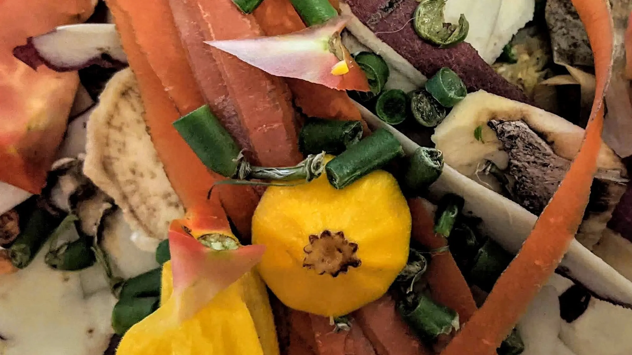 Picture food waste