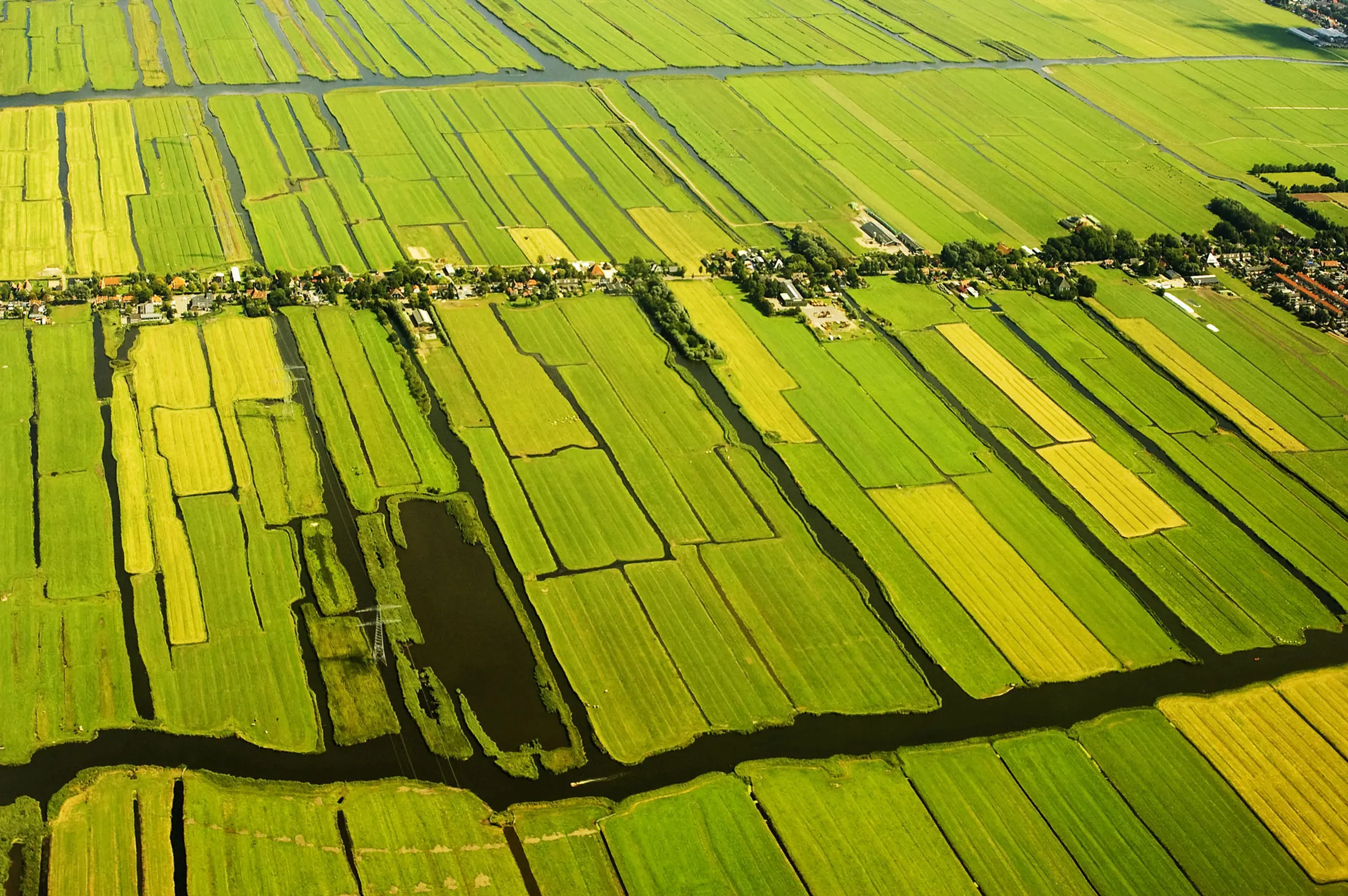 polder laagveen