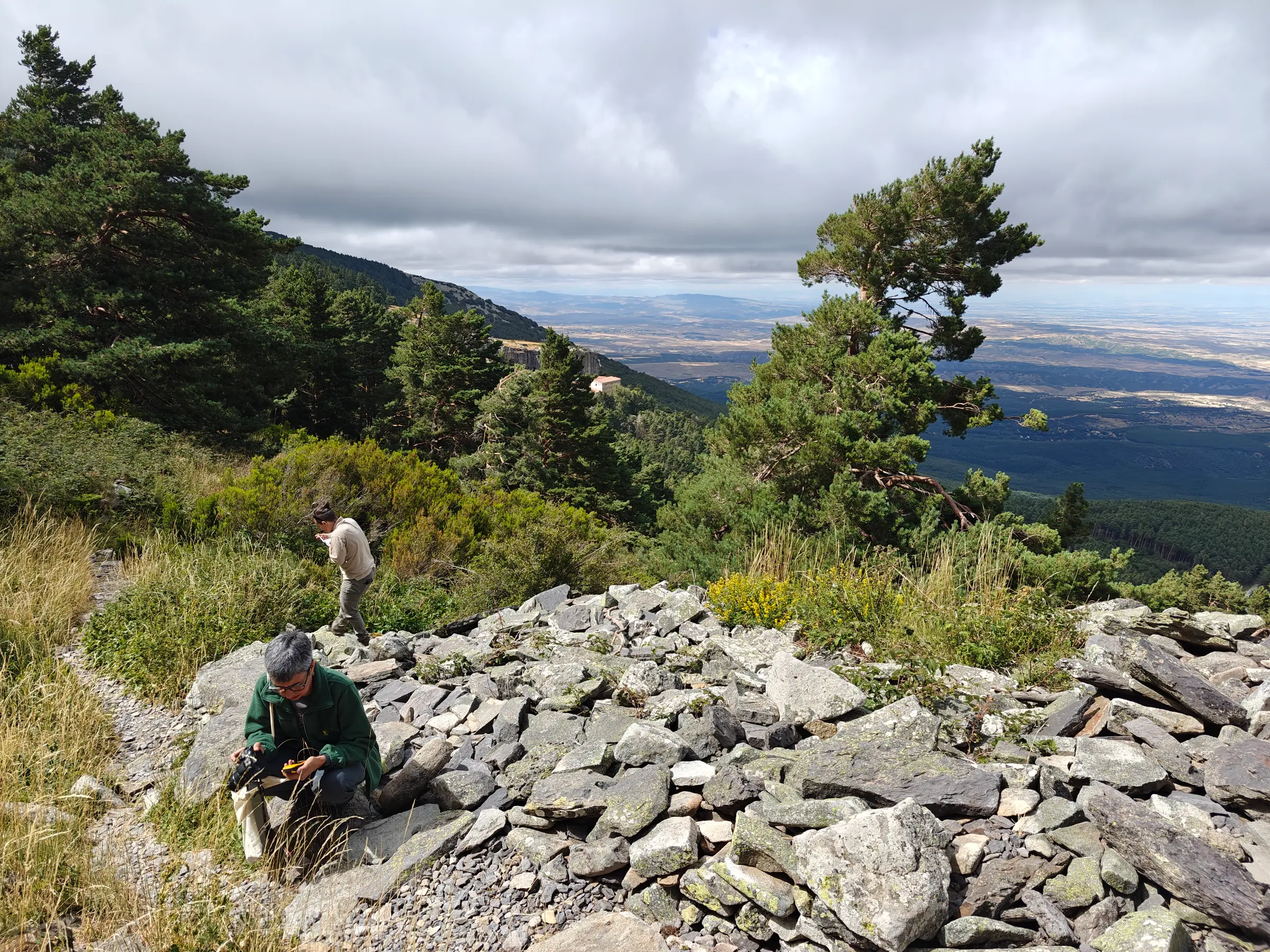 Cristina Mallor Giménez and Ana Isabel Marí León recording passport data at a Blitum bonus-henricus population in the Moncayo mountains, July 2025.