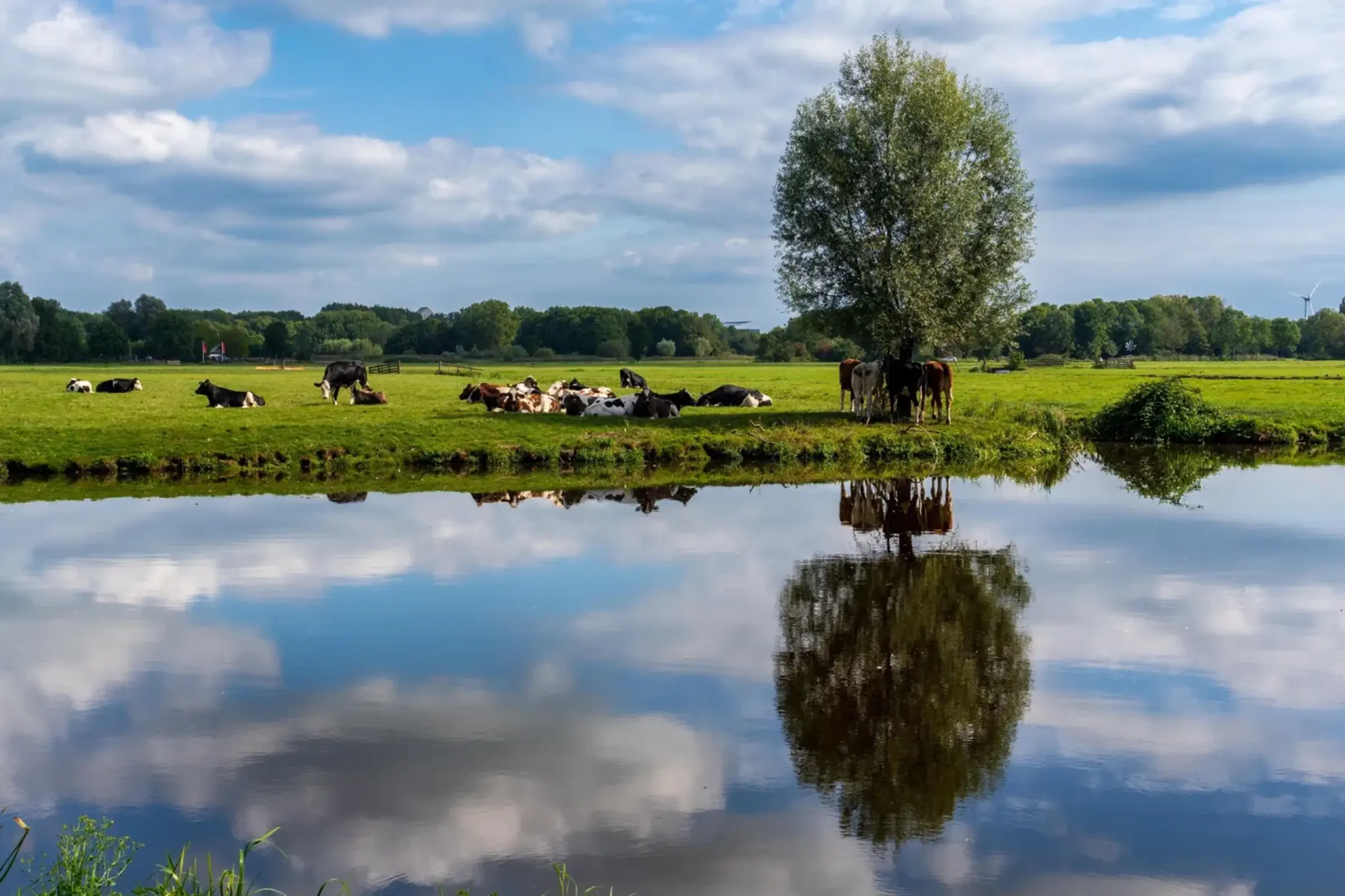 Centrum voor Genetische Bronnen Nederland