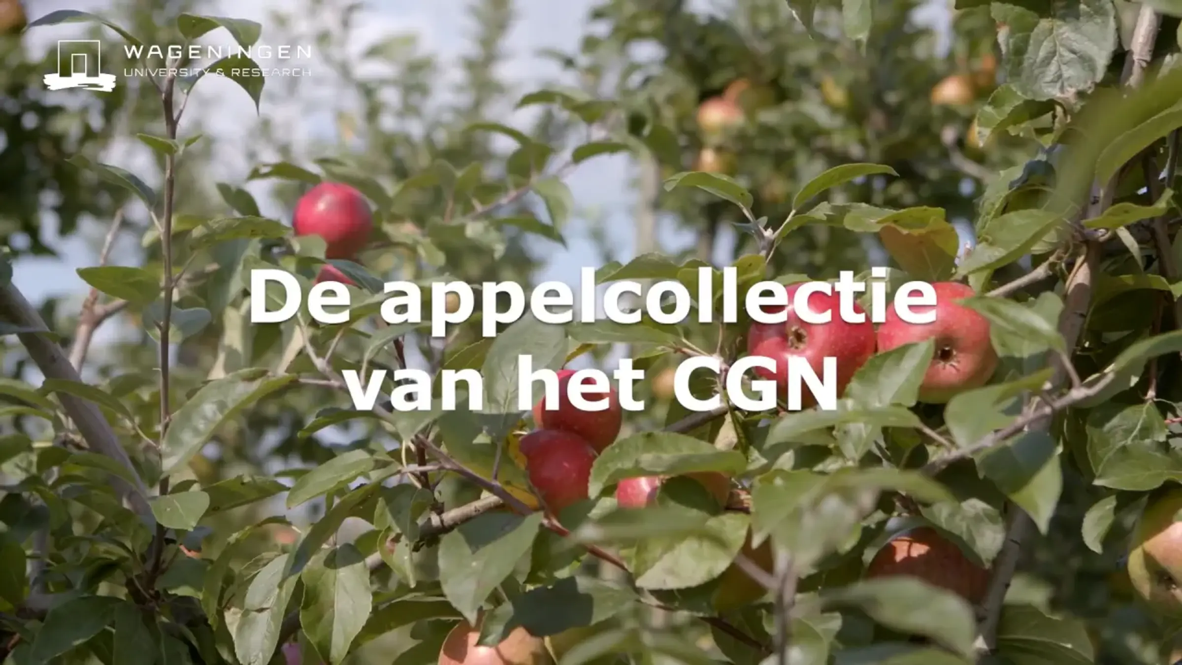 De appelcollectie van het CGN