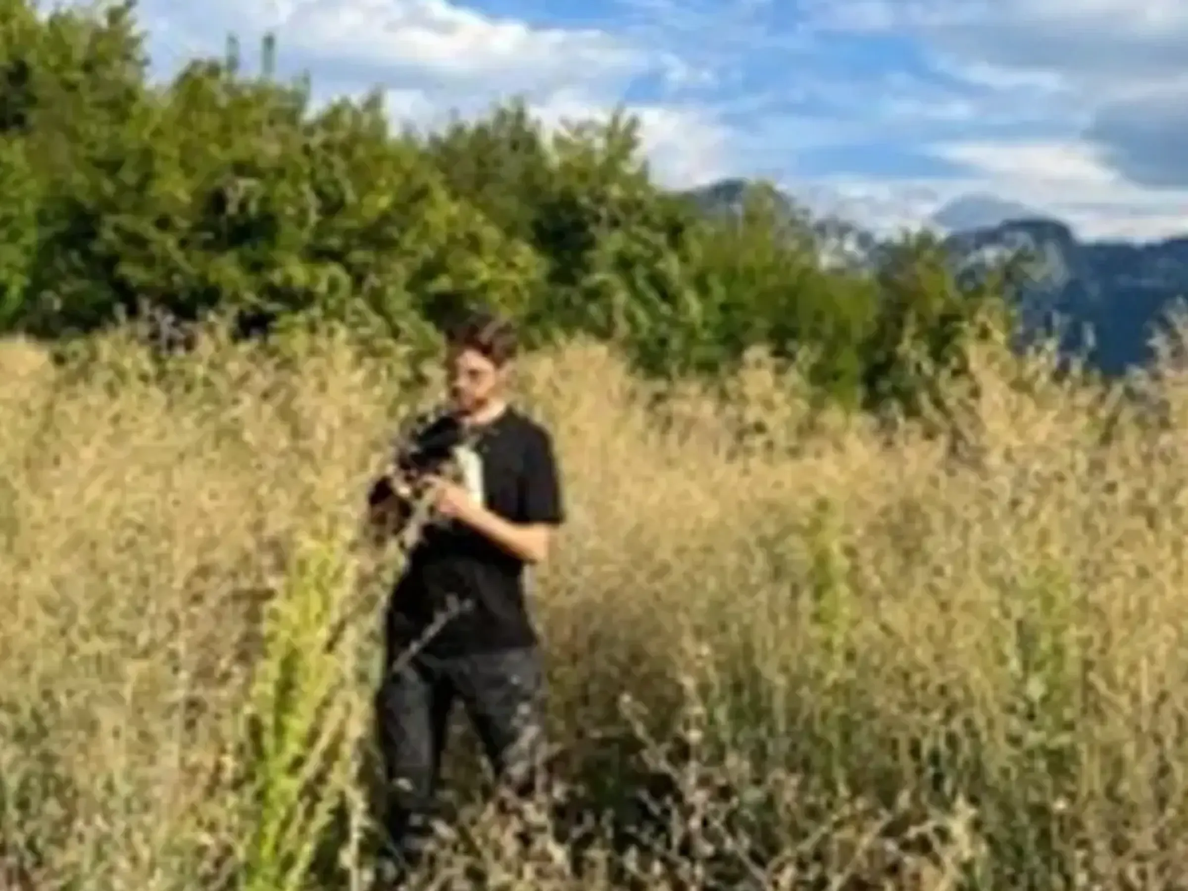 Rik Lievers collecting seeds of Lactuca serriola