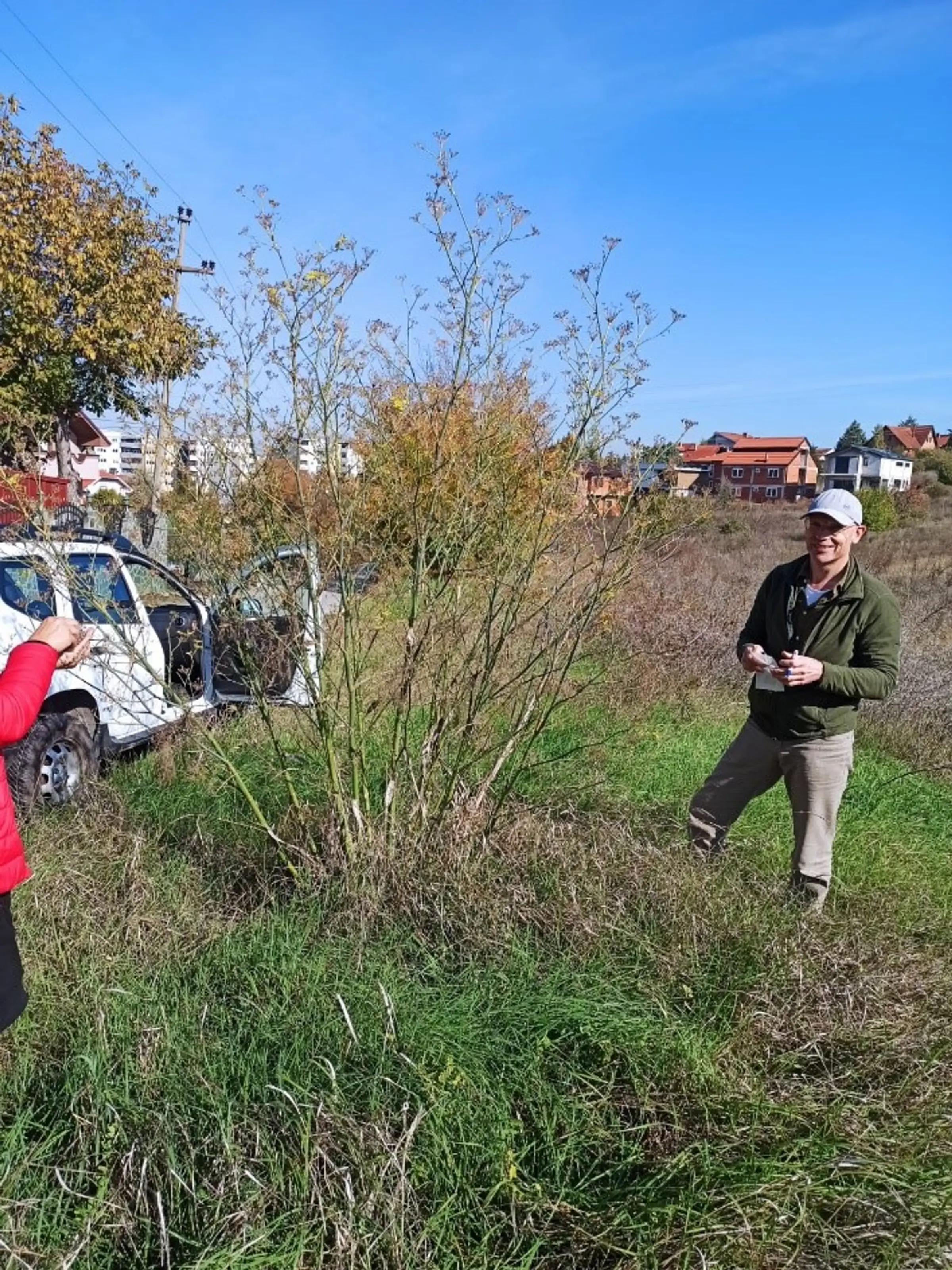 Wouter Groenink and Mirjana Jankulovska collecting seeds from wild fennel